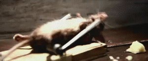 bench press mouse